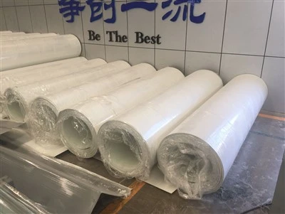 Panneaux de manteau de gel de FRP pour des boîtes du corps de camping-car de remorque de camion de RV